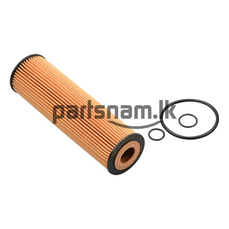 AEN11800509BB - TS OIL FILTER ELEMENT